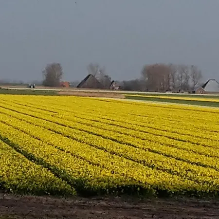 Ubytování v soukromí Vredehof *