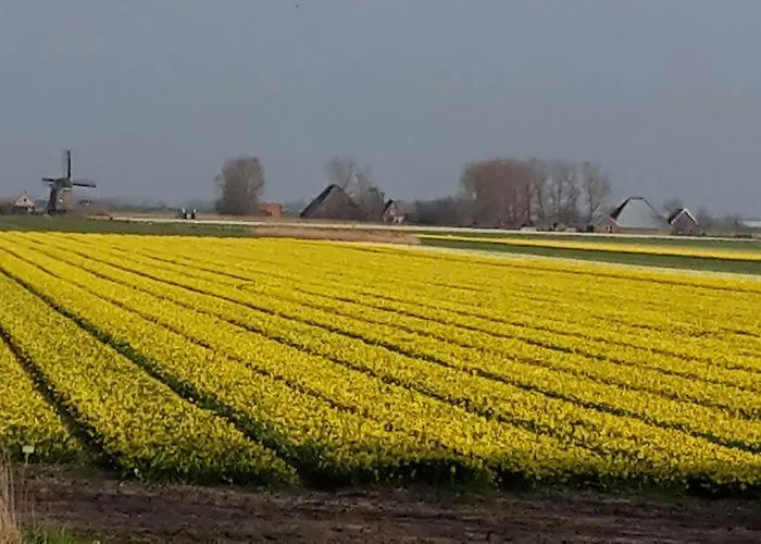 Alloggio in famiglia Vredehof *